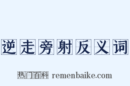 逆走旁射反义词是什么意思的图片